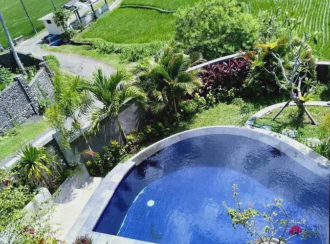 Medewi View