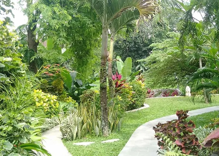 Medewi View